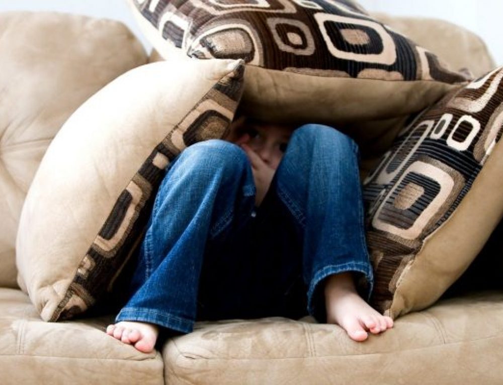 pexels-photo-262103-e1516631408707-500x383@2x